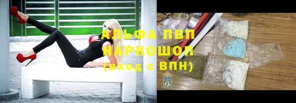 молекула духа Арсеньев
