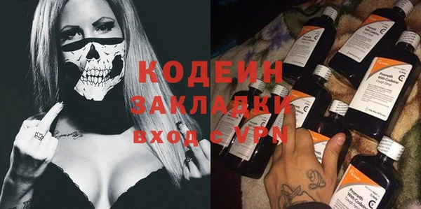 молекула духа Арсеньев