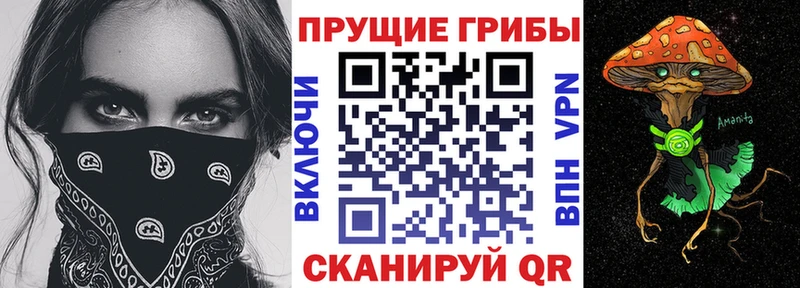 Галлюциногенные грибы Psilocybe  маркетплейс состав  Пустошка  дарнет шоп 